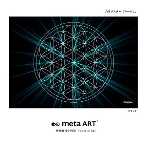 A4 J^A[g A[g|X^[  Xs`A _􉽊w͗l t[IuCt ̉ flower of life  metaART ^A[g A4  F |X^[ Q gC  C