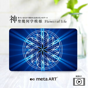 J^A[g J^J[h J[h 아 [֑ metaART ^A[g _􉽊w͗l t[IuCt J[h u[ Xs`AA[g q[OA[g GlM[A[