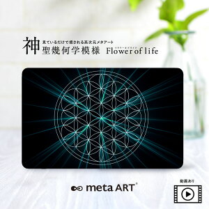 J[h J^A[g J^J[h 아 [֑ metaART ^A[g _􉽊w͗l t[IuCt J[h ubN Xs`AA[g q[OA[g GlM[A