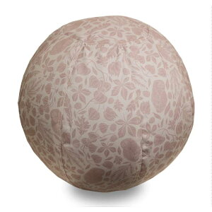 moiku CN oX {[ 65cm Ct 􂦂Jo[t nht k IV