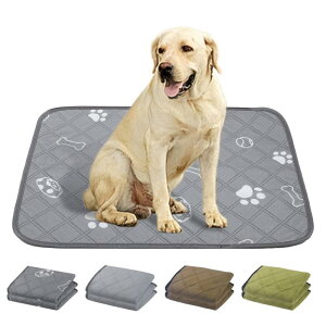 􂦂ybgV[c ybg}bg h 2Zbg Qhoculi  gCV[g }bg ybgV[c 􂦂 ybg V[g  gC}bg ۂƐ􂦂 L  p