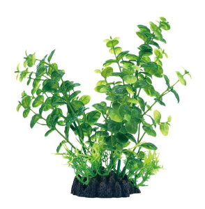 WFbNX i LoRp Ϗ܋EpI[ig ɍLlH