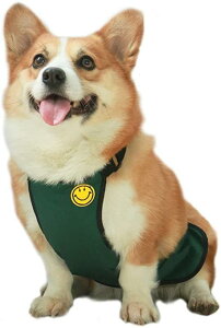 FSLMY  Gv D悯 ^p CGv CR[g hbOEGA Gv D h ʋC  R[M[ Č t`uhbO _bNXp Jbp ybgpi