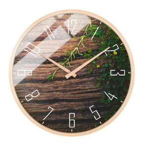  Ǌ|v  |v tbNt Ƃ k CeA Vv _ Q rO ItBX  蕨 a31cm