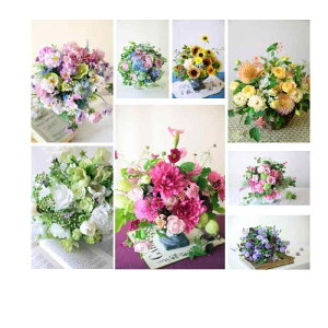 |XgJ[h Ԃ̎ʐ^ 8(8){܂1 Zbg ԉIWi  u[P ԑ Gt AWg POSTCARD  G͂ (22-12-Set4-2-FB)