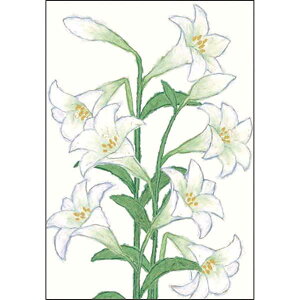 GreetingLife(�O���[�e�B���O���C�t) �O���[�e�B���O���C�t �A�j�o�[�T���[�t�����[�J�[�h ���� YZ-382