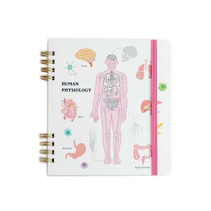 O[tbV m[g STUDY HOLIC Om[gEXNGA