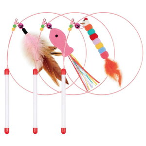 �L�̗F�� �L����炵 3�{�Z�b�g �L �������� ���C���[ ��v ��� ���� �H �H�� �v���[���g �M�t�g