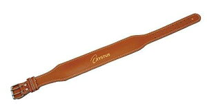 g[GCCg(TOEI LIGHT) EFCgg[jOxg H-7454