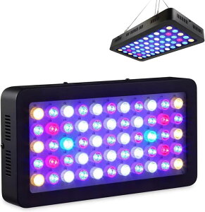 TSpƖ LED Ɩ ANAECgCg C TS  Mы  X 165W  tXybN ȃGl 