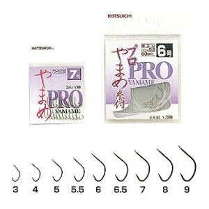 JcC`(KATSUICHI) v܂ tbN 5.5 ނj