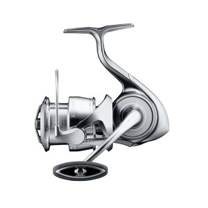 _C(DAIWA) XsjO[ 22COWXg(EXIST) e (2022f)