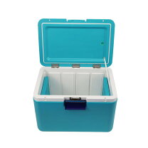 楽天市場】アイスクリーム アイスボックスの通販