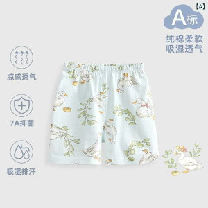 �x�r�[ �V���[�g�p���c �j�̎q ���̎q �� 100% �ėp ���� ���C�� �Œ� �x? ���� �� ?�� ���킢�� ���� ��؍� ���� ?�c�� 1-3�� 66-120cm