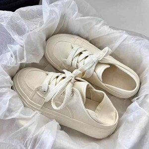 ���z �X�j�[�J�[ ���f�B�[�X �� �� �J�[�L 23cm 24cm 25cm 26cm 27cm 28cm 29cm 30cm 31cm 32cm 33cm 34cm 35cm 36cm 37cm 38cm 39cm 40cm 41cm 42cm 43cm