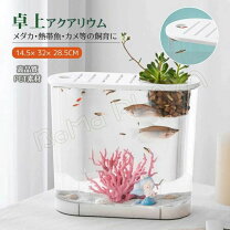楽天市場】金魚 槽の通販