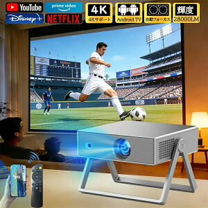 ���^ Android TV���� ���P�x ���邢 ������`�␳ �I�[�g�t�H�[�J�X Wi-Fi6 Bluetooth5.2 �ƒ�p �É� �X�s�[�J�[���� �� �V��