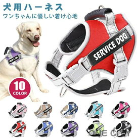 通気性 抜けない ペット用品 頑丈 ハーネス おしゃれ ネーム 名前 ペット お散歩 お出掛け 小型犬 簡単装着 ペット用ハーネス 犬