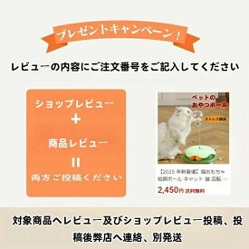 猫 自動餌やり機 タイマー 乾燥剤 犬 猫 自動給餌器 ステンレス製ボウル 自動給餌機 透明タイプ ペット給餌器 清潔便利