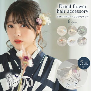  Iׂ6^Cv wAANZT[ 5_ Zbg hCt[  wAs  a  񎟉 H Ă΂ l p[eB[ ANZT[ ȒP Mtg v[g