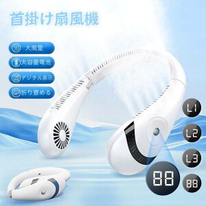 �y�ĐV���f�� �l�b�N�t�@���z��|����@ �H�Ȃ� 4000mAh��e�� Type-C�[�d�� ?�� �y�� ����3�i�K���� �܂肽���ݎ� �v���[���g