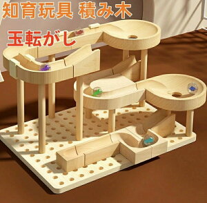 知育玩具 ブロック パズル」の人気商品一覧・価格比較 - 価格.com