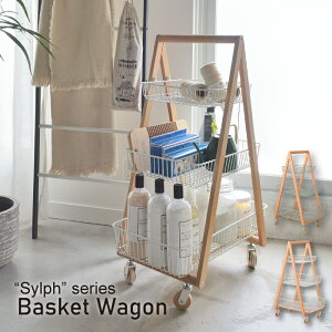 S LX^[t bN 3i oXPbg [ LX^[S  Vv Lb` ʏ i` k oXPbgS PW-54