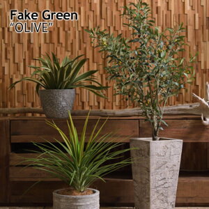 ϗtA tFCN lHϗtA  A tFCNO[ C~e[V O[ rO Lb` gC  v[g 蕨 I[u GRN-17