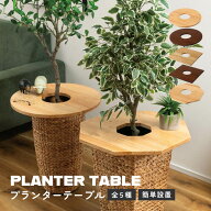 [レビュー特典] プランターテーブル 木製 サイドテーブル 観葉植物 花台 テーブル 天然木 天板 50cm 鉢隠…