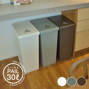 ゴミ箱 ごみ箱 スライドペール 30L ダストボックス スライド キッチン おしゃれ 清潔 シンプル ふた付き 運びやすい 屋内 屋外 分別 フタ付き 小型 コンパクト 日本製 ペールカラー 新生活 一