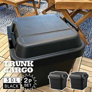 トランクカーゴ 30L BLACK ブラック 2個セット コンテナ ケース トランク 収納 黒 フタ付き 収納ケース 収納ボックス コンテナボックス トランクボックス 座れる 荷物入れ アウトドア キャンプ