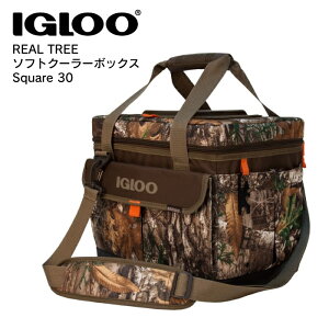 IGLOO CO[ \tgN[[ Ac[ N[[obO N[[{bNX  AEghALv ۗobO Square30 ACX{bNX 63015