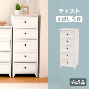 `FXg [ [I   AeB[N Vv i` Pn Ƌ X fBXvC Q N[[bg zCg MCH-5385AW