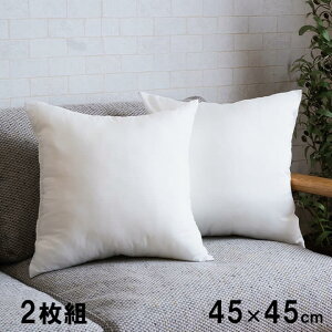 �k�[�h�N�b�V���� 2���g �􂦂� ���{�� �N�b�V���� ���g �͗l�ւ� 45�p �����` 45×45 �Z�A�e 1210660140703