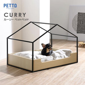 ybg xbh nEX^  L lR    ACA \ \t@ NbVt ^ V tbg  ybgxbh PETTO CURRY J[[