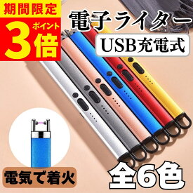 【ポイント3倍】充電式 電子ライター 充電式 充電式ライター lighter プラズマライター 電気ライター 充電式 電子ライター 充電式 ライター usb 小型