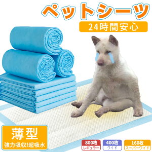 yňl풆zgCV[c ybg gCV[c ĝ  唻 F fIV[g 蒴z L^Cv M[ ybgV[c Ch ybgV[g gCV[g ^ 