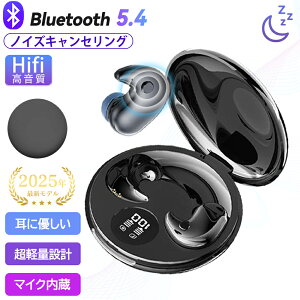 ���C�����X �C���z�� �����p ���K �C���z�� bluetooth5.4 �m�C�Y�L�����Z�����O �����ԃo�b�e���[ �ɂ��Ȃ� �����^ ���^ �h�� �}�C�N�t�� iPhone Android Type-C ������ �����y�A�����O �^�C���Z�[�� 