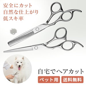 yiXeXzUpnT~ oT~ wAJbgnT~ ؂nT~ ZtJbg UZbg UnT~ oT~ ZjOVU[ JbgVU[ EBbO ͂ nT~ 