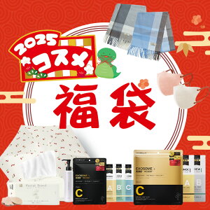 y2025RX܁E|~ZbgIׂIz2025  Vt XLPA V[g}XN tFCXpbN eZbg e}XN  ^ CN lזE ϕi P NWO IC 