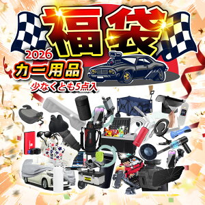 yԌ蕟܁Iz 2026 bL[obO Lucky Bag nbs[obO Happy Bag TvCYobO Surprise Bag  Zbg o[Zbg NX}X Vt J[pi Y 