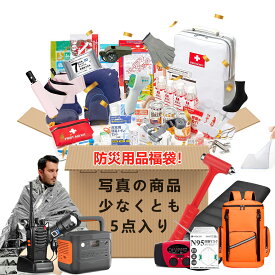 2026 福袋！豪華商品 早い者勝ち 福袋 2026 Lucky Bag メンズ 子供 キッズ ブランド福袋 レディース福袋 マスク 福袋 家電 ラッキーバッグ ハッピーバッグ 豪華福袋 スポーツ 福袋 大感謝祭 赤字覚悟 運だめし お楽しみ 女性 男性 ゲーム 電子製品 福袋 2026 お楽しみ袋