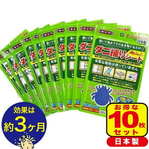 {y\邾3?LIz_j߂V[g _jV[g _jƂV[g _jV[g _jh~ _j ΍ |  ~ zc |  Jo[ V[c }bgX pbh J[ybg x