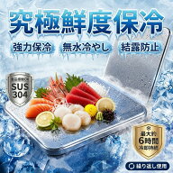 【12時間冷却版】 2026 独自品質 ステンレス保冷剤 長時間 保冷 ステンレス 保冷剤 釣り ミニ 軽量 驚異…