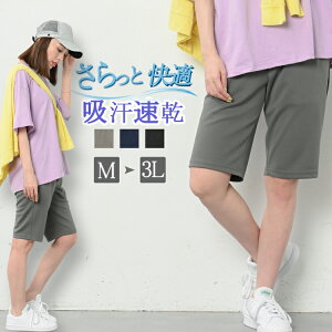 W[W fB[X  pc X|[cEFA Kpc KEFA n[tpc V[gpc Y{ Zp Y{ 5 t  H EGXgS  Ђ z n[t V