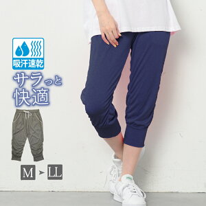 Kpc WK[pc fB[X t  Nbvhpc n[tpc  z Xgb` EGXgS V[O  Ђ EH[LOEFA tBbglXEF