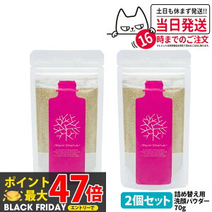 y|Cg12{ 2{Zbgz݂Ȃł݂炢 NWOpE_[S lߑւ 70g pE_[ lւ痿 ێ { 