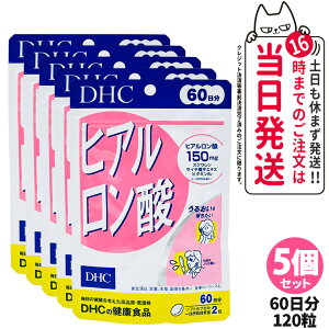 yܖ2027/05zDHC fB[GC`V[ qA_ 60 120 Tvg NHi h{@\Hi NTv eTv N }`Tv 1/2/3/5 