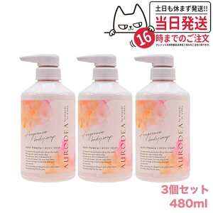 �y3�Z�b�g�z���K�~�m���b�J �t���O�����X �{�f�B�\�[�v �Z�C���g�t���[�W�A 480ml megami no wakka fragrance body soap saint freesia �{�� 480ml �{�f�B�\�[�v