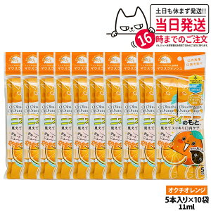 y10pbNZbgzokuchi IN`V[Y t }EXEHbV 11ml×5{ jIĈ IN`IW ^ g PA  L\h L΍ 